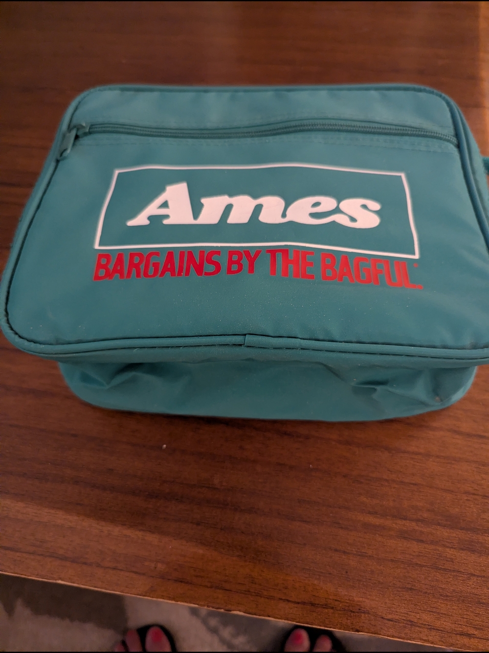Vintage Ames Lunch Bag